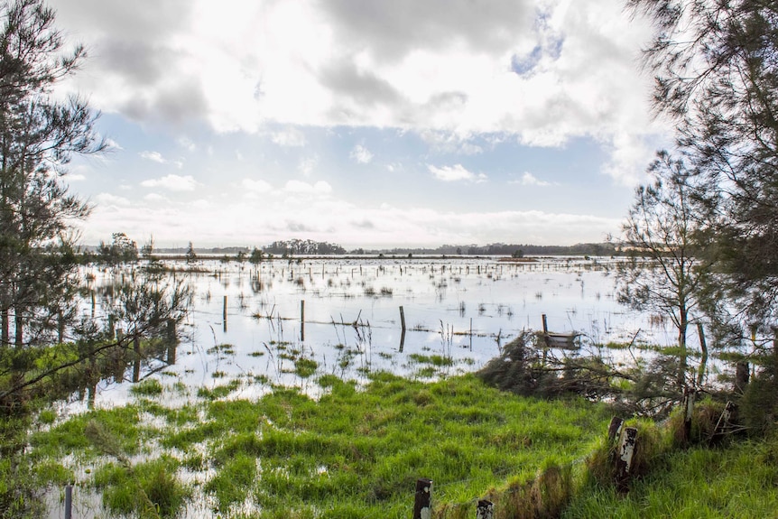 Flood water lies on land near Williamtown in April 2015.