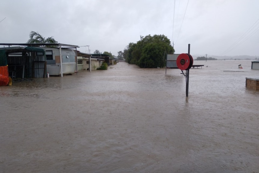 A row of caravans and trees being submerged in water to one side and flooded paddocks to the other side.