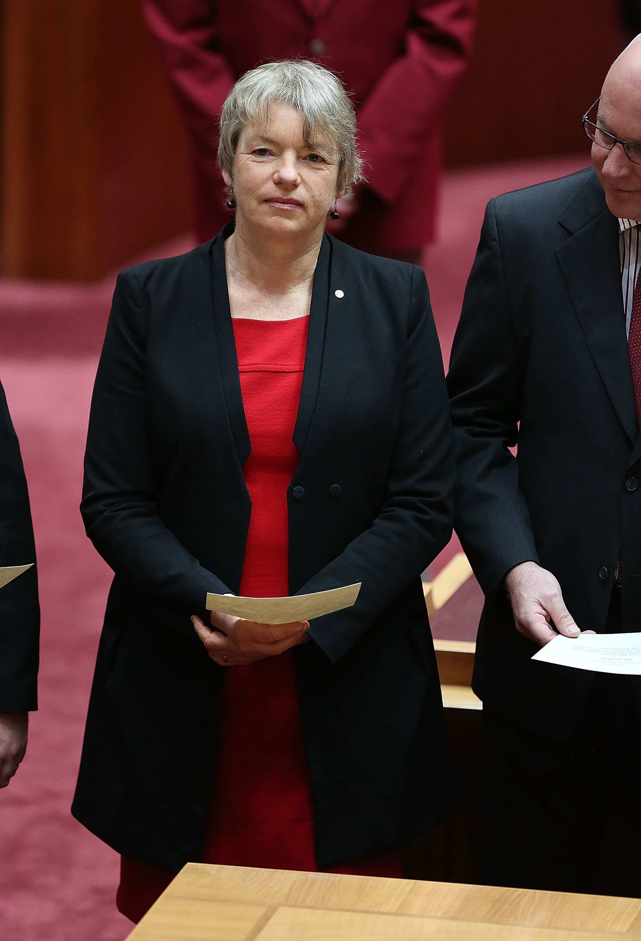 Janet Rice On Vehicle Emission Standards ABC Radio National