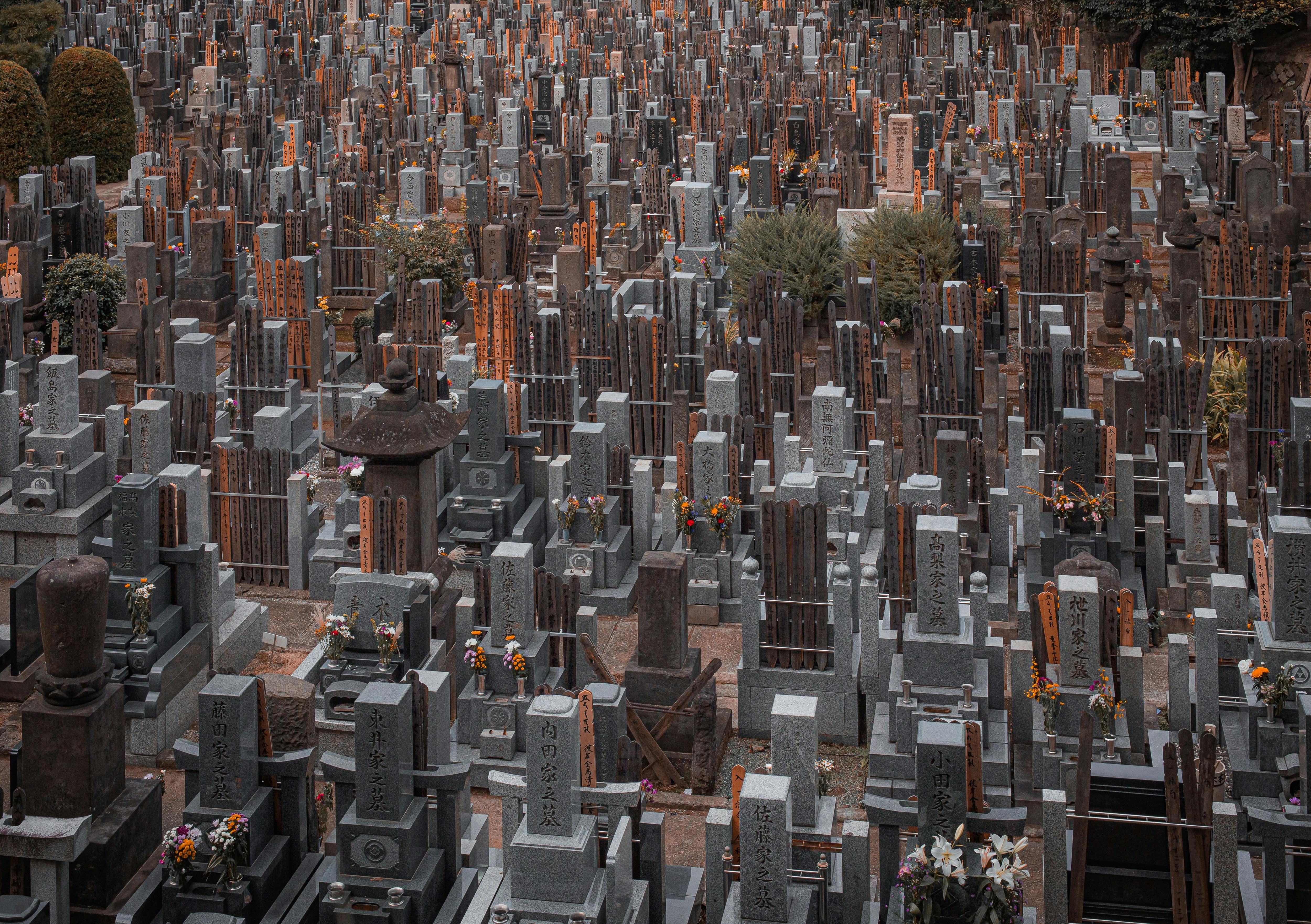 Are burial practices driving anti-immigration sentiment in Japan?