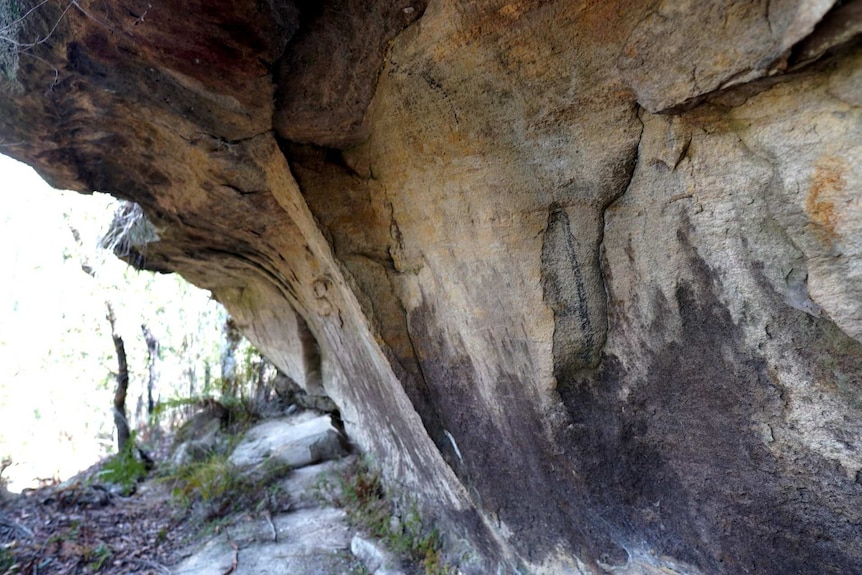 A shallow sandstone overhang with charcoal drawings impacted by cracking and fracturing from subsidence caused by mining.