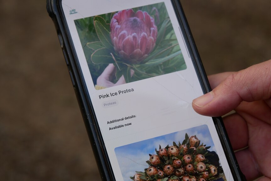 A phone with a picture of flowers