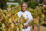 A man in a vineyard holding grapes 