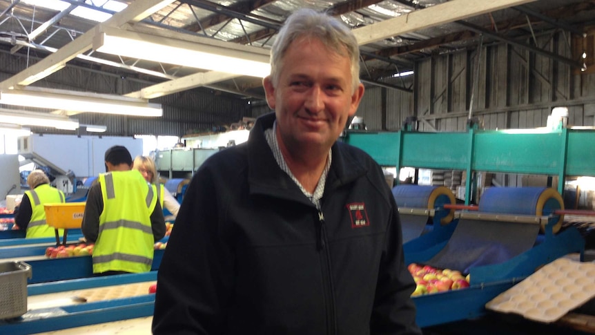 Fruit Growers Tasmania president Andrew Scott