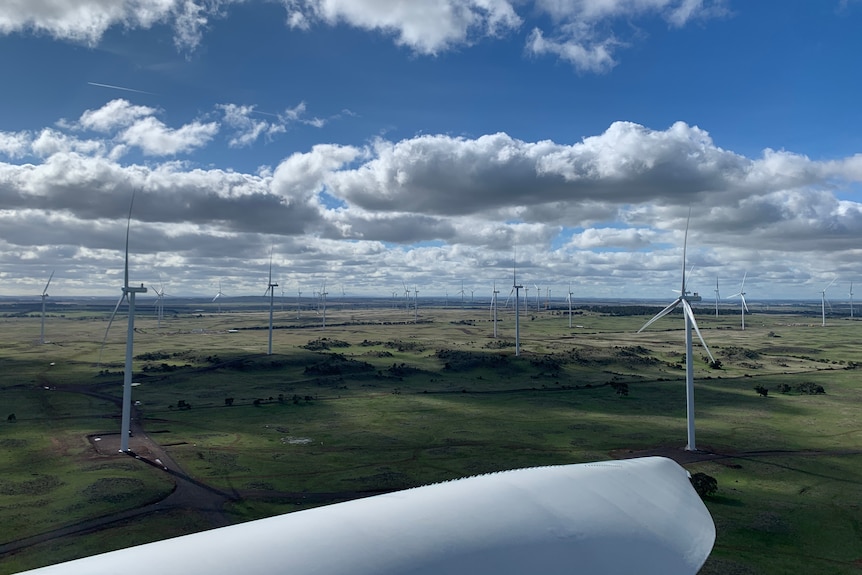 A shot overlooking a large wind farm on a sunny day with large white clouds.