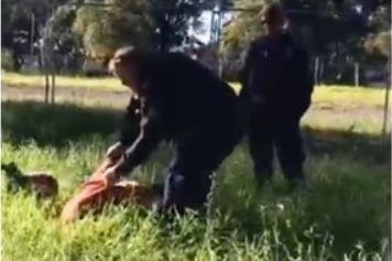A police officer hold a woman on the ground by the arms in long, green grass. A small dog and another officer are nearby.