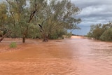 A creek flooded near White Cliffs. 