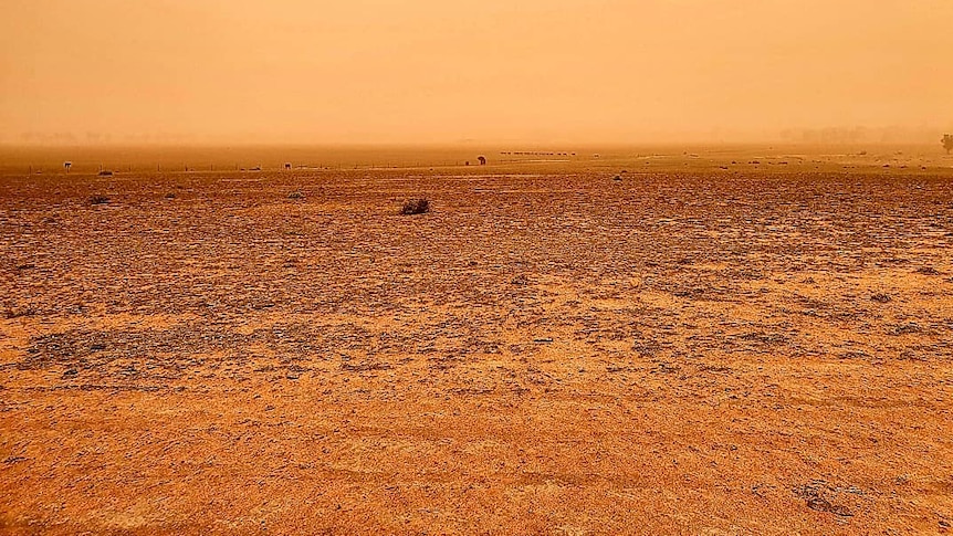 A completely bare drought landscape with dust colouring the air light colour