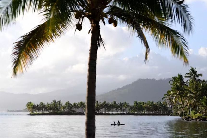 Two people in a canoe sit on still blue water, framed by coconut tress and green hills in distance. 