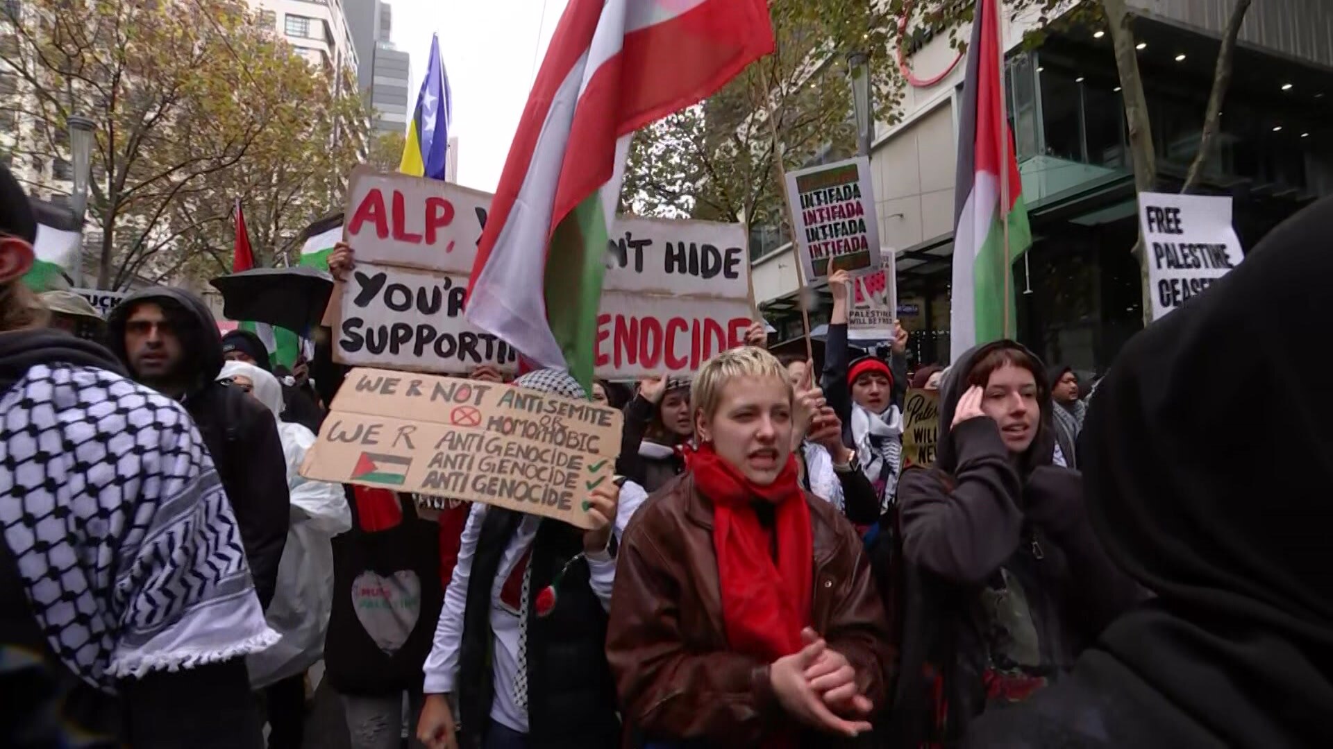 A number of protesters holding pro-Palestinian banners and flags.
