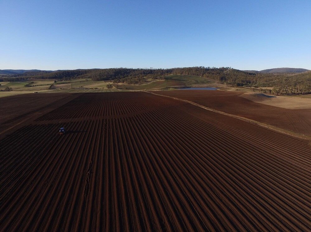 Introducing Tasmania's newest vineyard area Forcett to a force