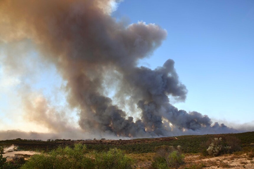 Huge smoke plumes burn from a bush landscape