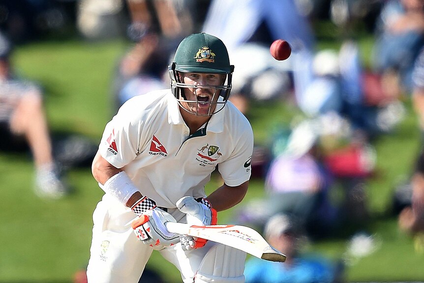 Australia's David Warner reacts after playing a shot against New Zealand in Christchurch