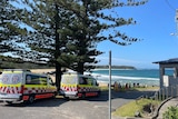 Two Ambulance vehicles in front of a beach