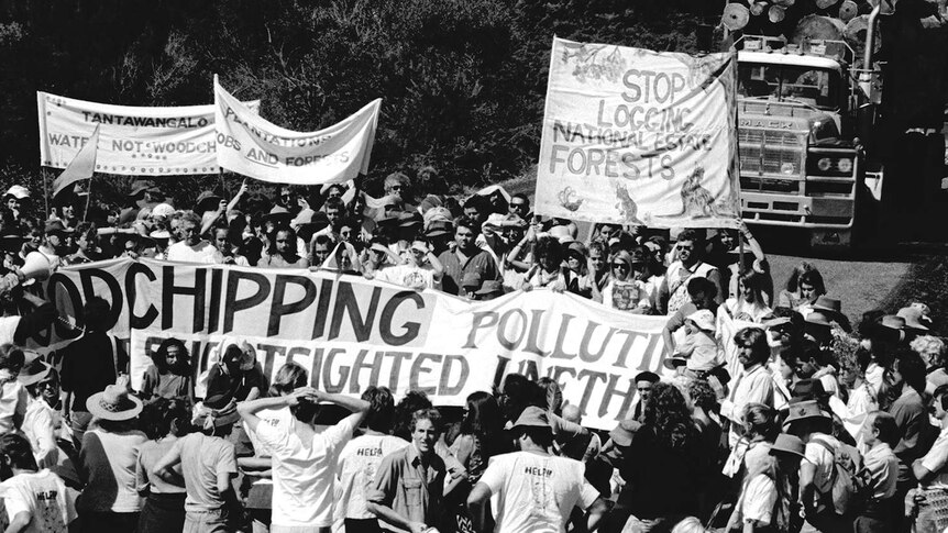 Protesters block the road to the Eden woodchip mill in the early 1990s