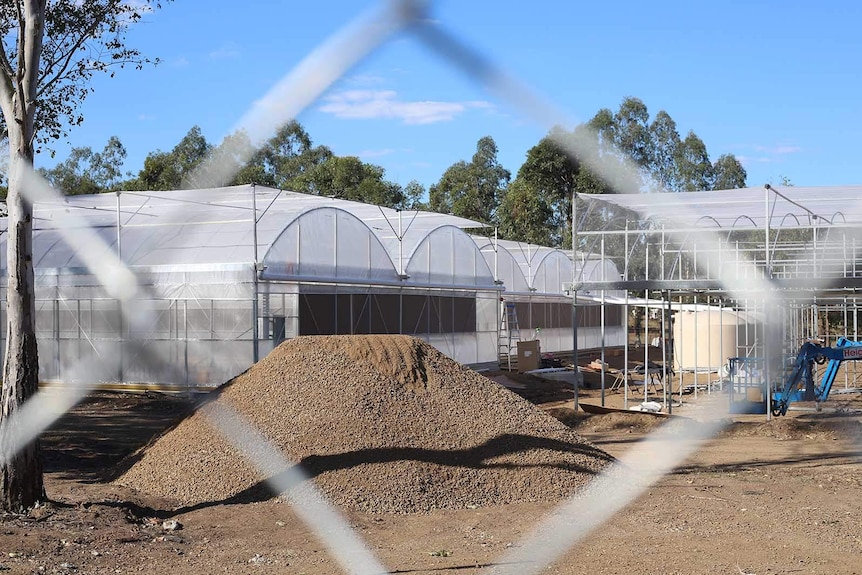 A greenhouse under construction