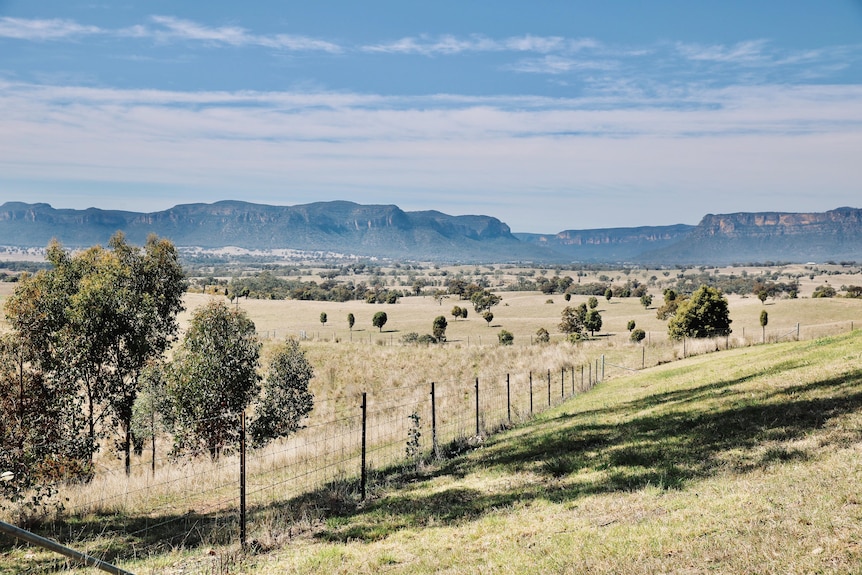 Picture of flat valley surrounding by cliff-faced mountain range 