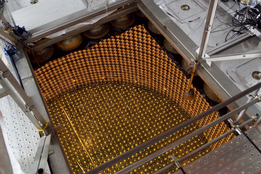 An opening looks down into a large tank lined with golden lightbulbs.