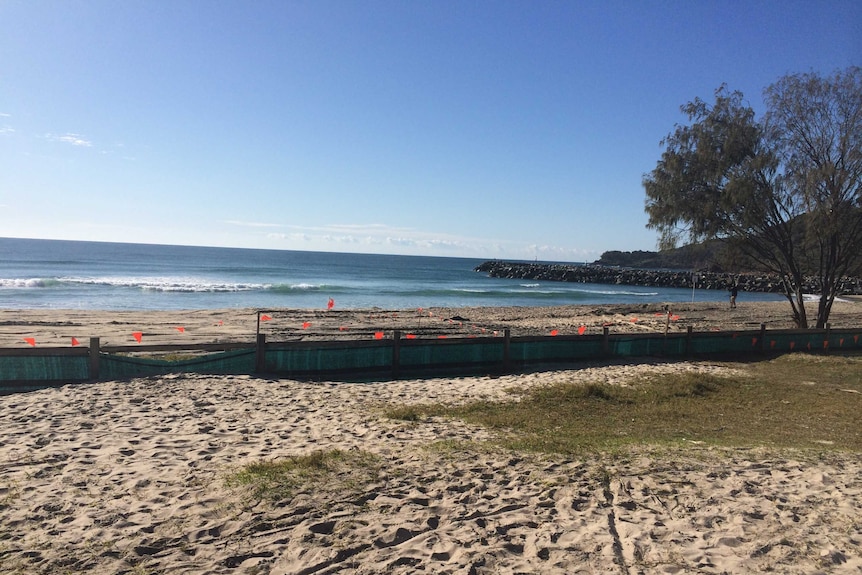 Main Beach at Evans Head