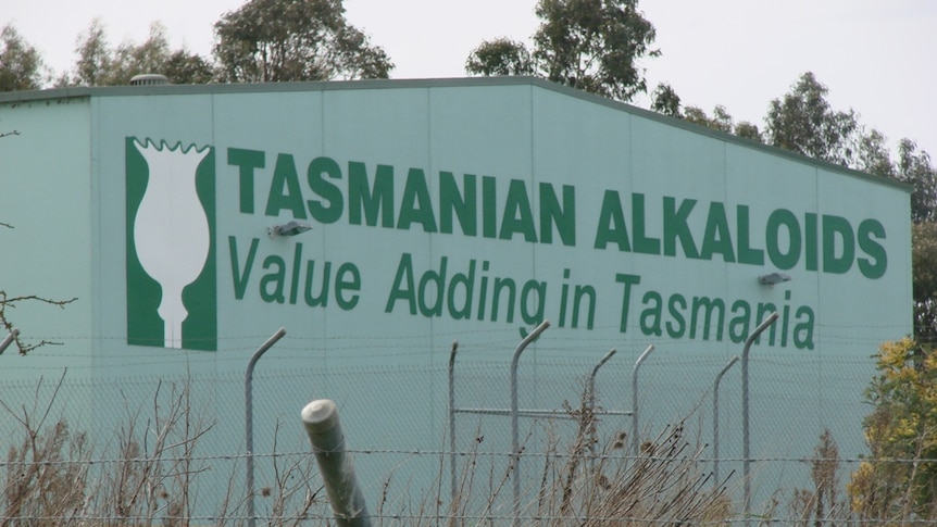 Tasmanian Alkaloids at Westbury
