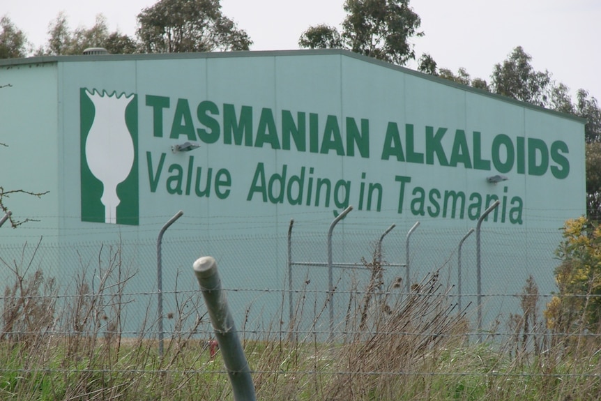 Tasmanian Alkaloids at Westbury