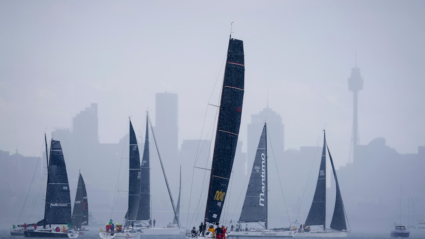 Black sails floating on water amidst a fog
