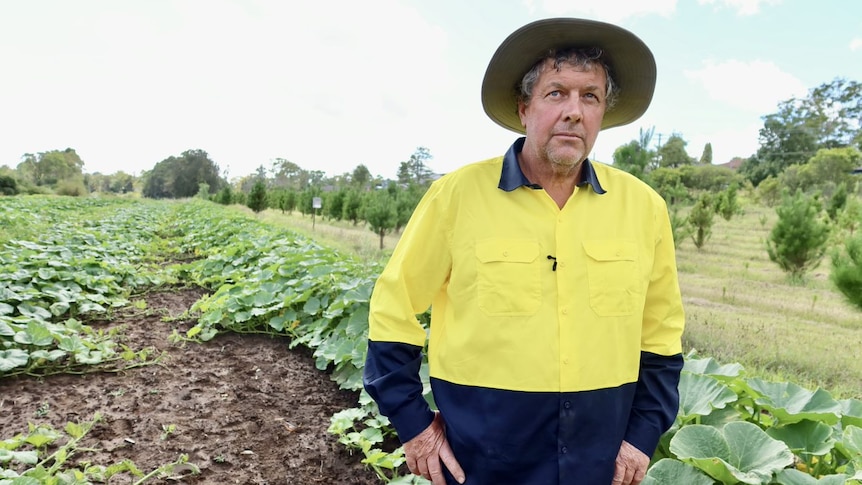 A farmer in front of a vegetable patch.