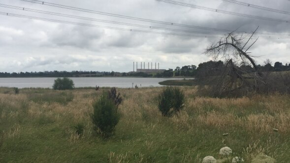 Hazelwood pondage, next to the Hazelwood power station in Victoria's Latrobe Valley.
