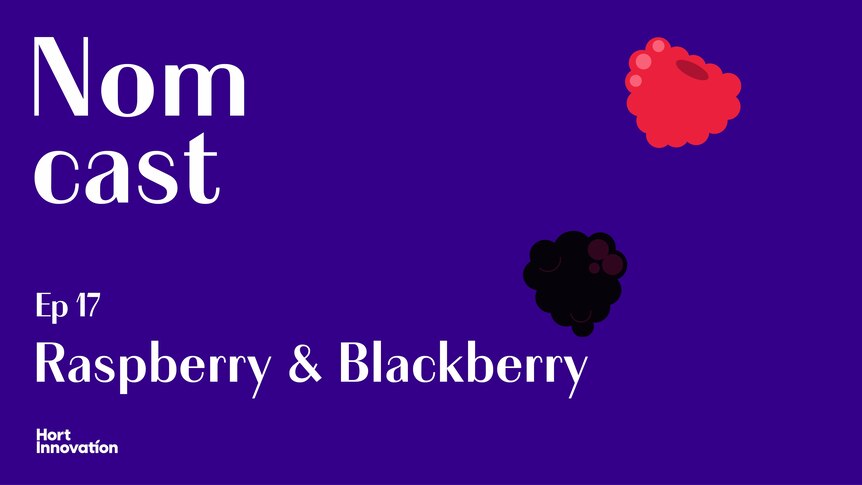 Title card shows text: "Nomcast, Episode 17, Raspberry and blackberry"