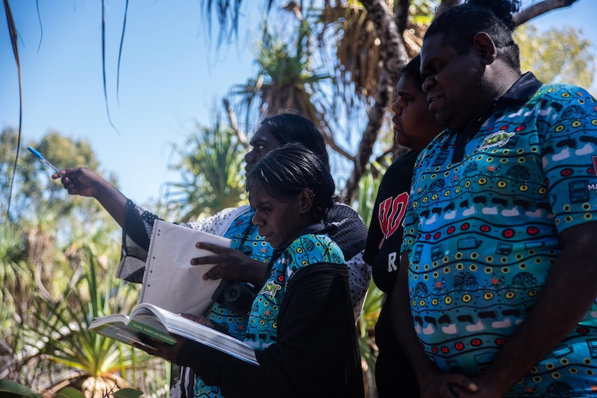 Four students assess plants in Arnhem Land, NT.