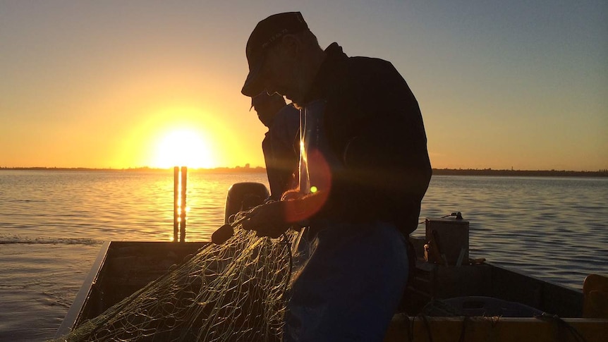 Net fisherman working