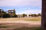 A wide shot of Kitchener Park in Subiaco showing grass, trees, and buildings in the background.