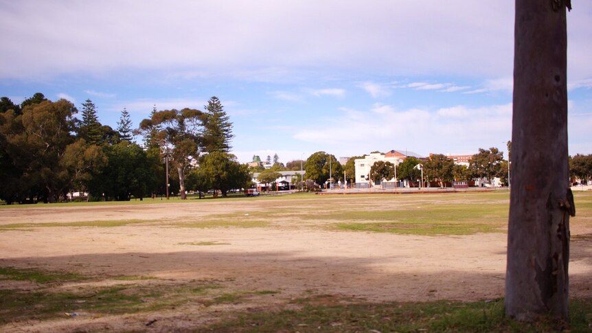 A wide shot of Kitchener Park in Subiaco showing grass, trees, and buildings in the background.