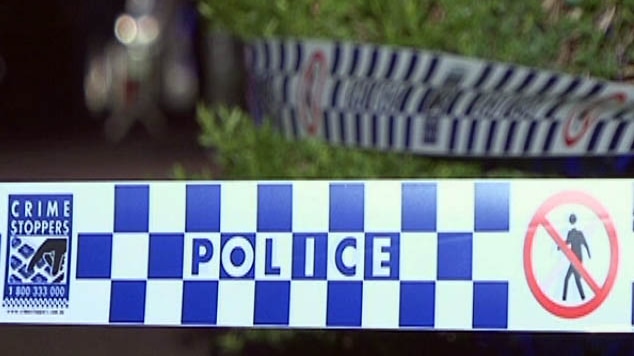 Port Stephens police investigate the apparent theft of a dog from a Raymond Terrace backyard.