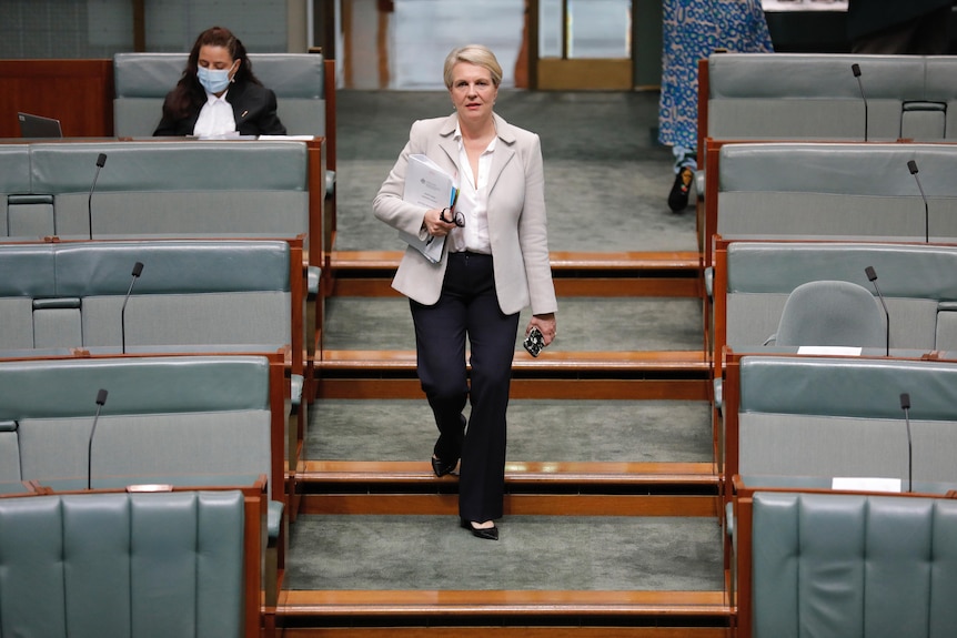 Tanya Plibersek arrives for question time