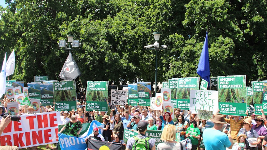 Environment protest in Hobart.