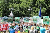 Environment protest in Hobart.