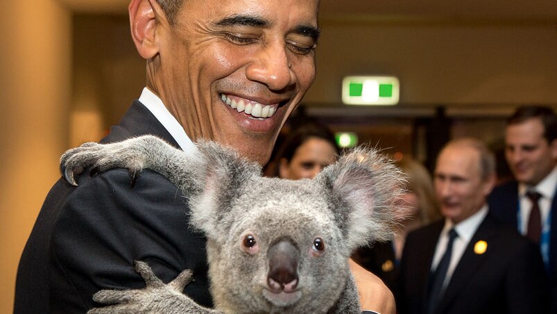 President Barack Obama holds a koala