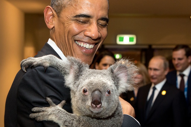 President Barack Obama holds a koala