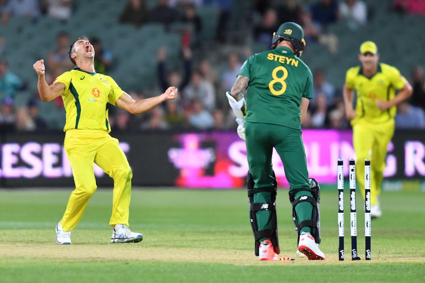 Marcus Stoinis celebrates the wicket of Dale Steyn