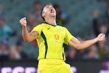 Marcus Stoinis celebrates the wicket of Dale Steyn