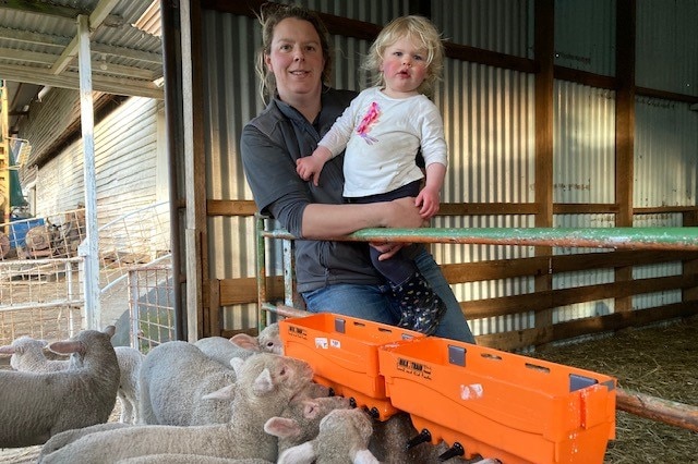woman and toddler watching as lambs feed from milk train