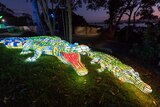 A light sculpture at Taronga Zoo as part of Vivid Sydney 2017.
