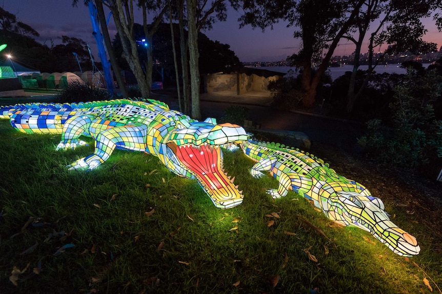 A light sculpture at Taronga Zoo as part of Vivid Sydney 2017.