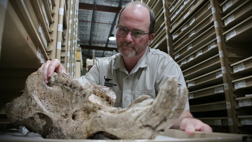 A man with glasses and a khaki Queensland Museum shirt examines bones in front of archival shelves.