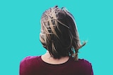 The back of a woman's head with shoulder length hair on a blue background