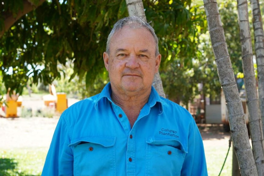 A close of a man standing next to a tree in a blue shirt