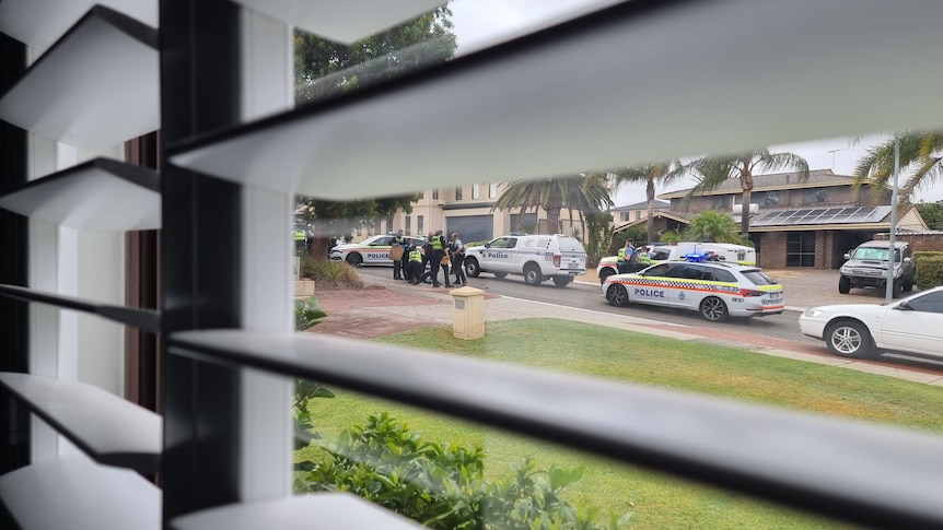 Taken through window shutters, a person is arrested on a suburban street by many police officers