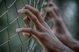Close up of a young person's hands gripping a wire fence