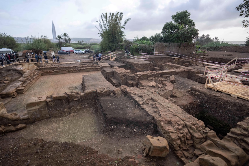 A dig site with several square shaped holes dug out with green trees and a gloomy sky behind